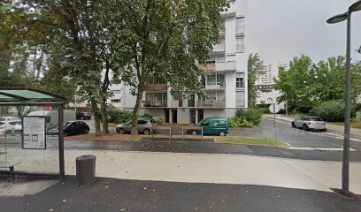 Tirnovean Mirela, Dentiste à Pau