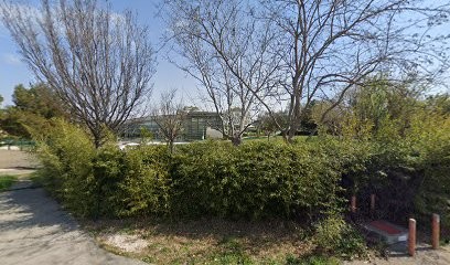 dr barbara coespel, Dentiste à La Seyne-sur-Mer