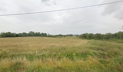 Taddei Olivier, Dentiste à Saint-Jean-de-Monts