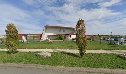 Alexandru Mardale, Dentiste à Tavers