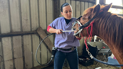 Technicien Dentaire Equin Pauline Nortier Dentiste à Villers-Pol