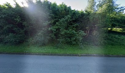 Bourg Françoise, Dentiste à Limoges