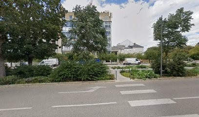 Ulmann-Finger Elisabeth, Dentiste à Troyes