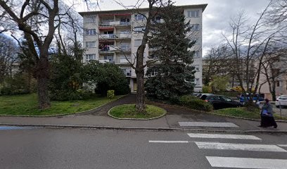 Preissig Richard, Dentiste à Illzach