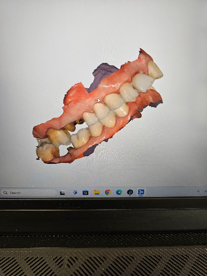 Dr. Borzan Florin Dentiste à Vierzon