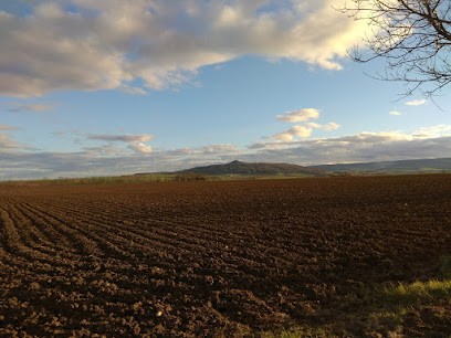 Marini Florence, Dentiste à Saint-Germain-Lembron