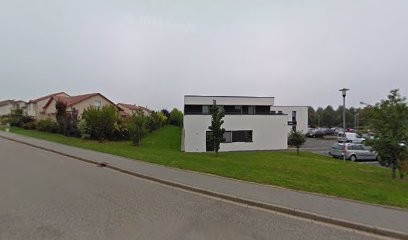 Bocquel Julien, Dentiste à Ludres