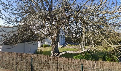 Technicienne Dentaire Équin Alix Derrien, Dentiste à Quiberon