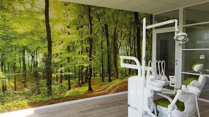 Chirurgien Dentiste - Dr Hueber Véronique, Dentiste à Obernai