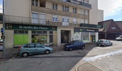 Mathy Pascal, Dentiste à Troyes