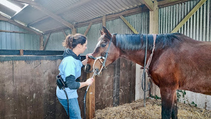 Sarah Queffelec - Technicien Dentaire Equin Dentiste à Plonéour-Lanvern
