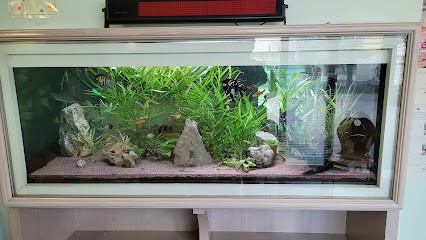 Frizot Mathieu, Dentiste à Saint-Marcel