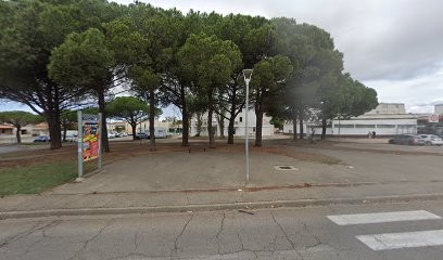 Markart Marc, Dentiste à Port-Saint-Louis-du-Rhône