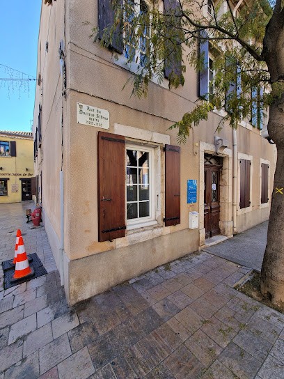 Dr. Deliu Ionela, Dentiste à Leucate