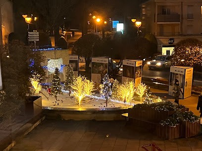 Dr. Raluca SCANTEIE - orientation professionnelle* orthodontie, Dentiste à Fresnes