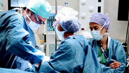 Dr Pierre Jacquemart - Implant dentaire - dentiste montpellier, Dentiste à Montpellier